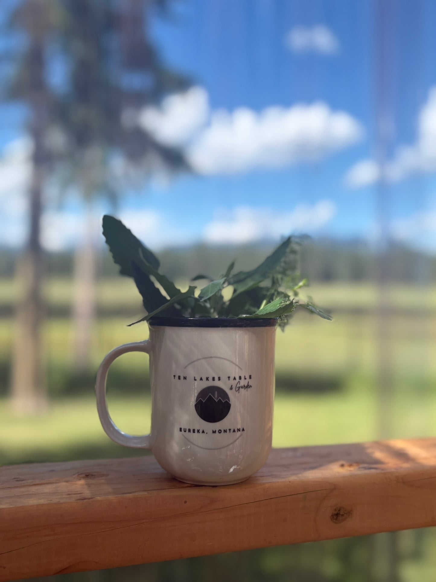 Reloved Logo Mugs
